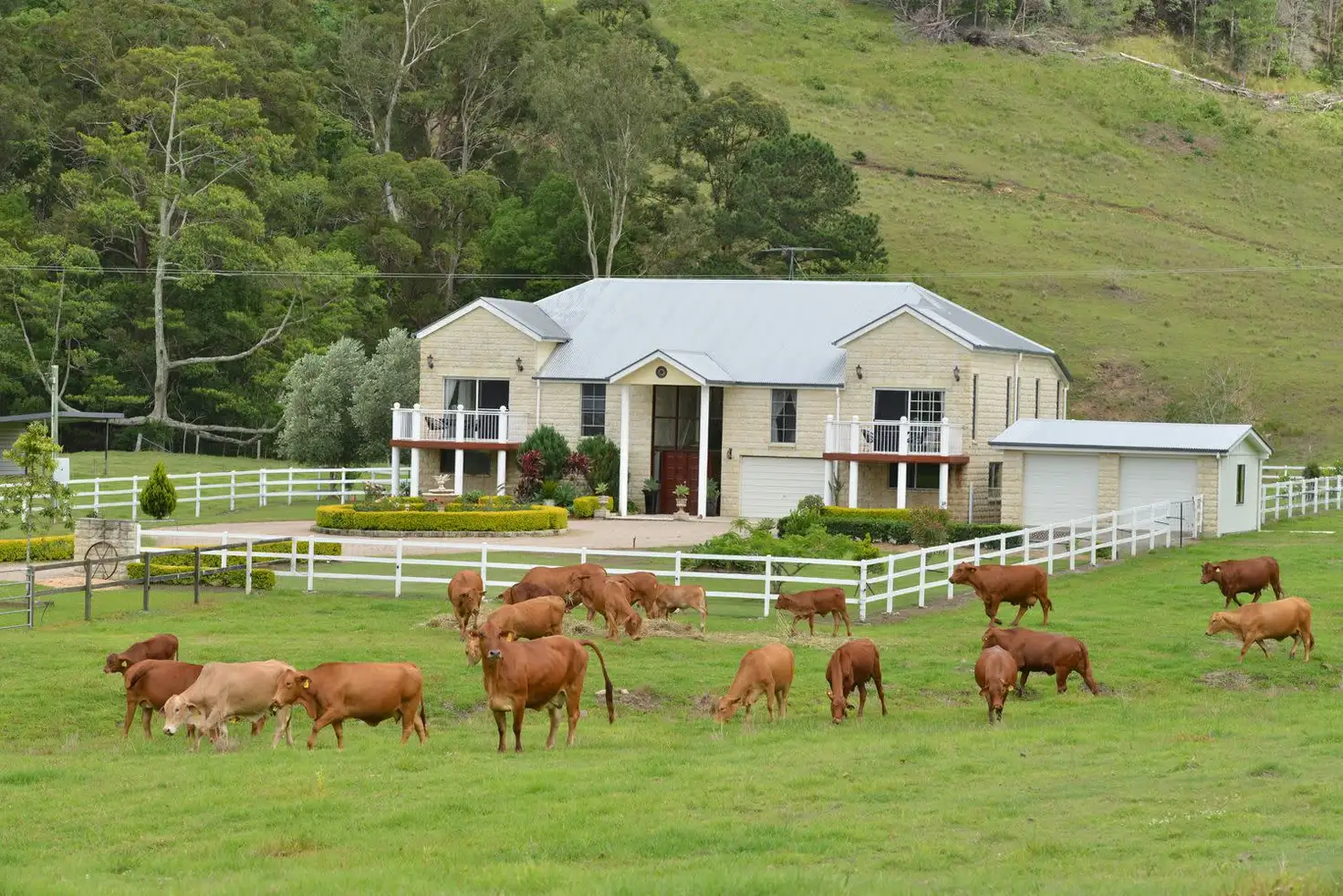 Main view of Homely rural property listing, 1179 Kilcoy Beerwah Road, Cedarton QLD 4514