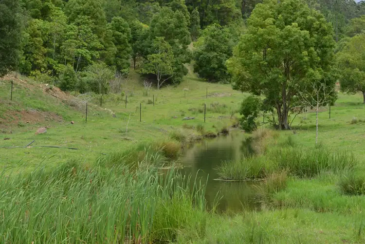 Seventh view of Homely rural property listing, 1179 Kilcoy Beerwah Road, Cedarton QLD 4514
