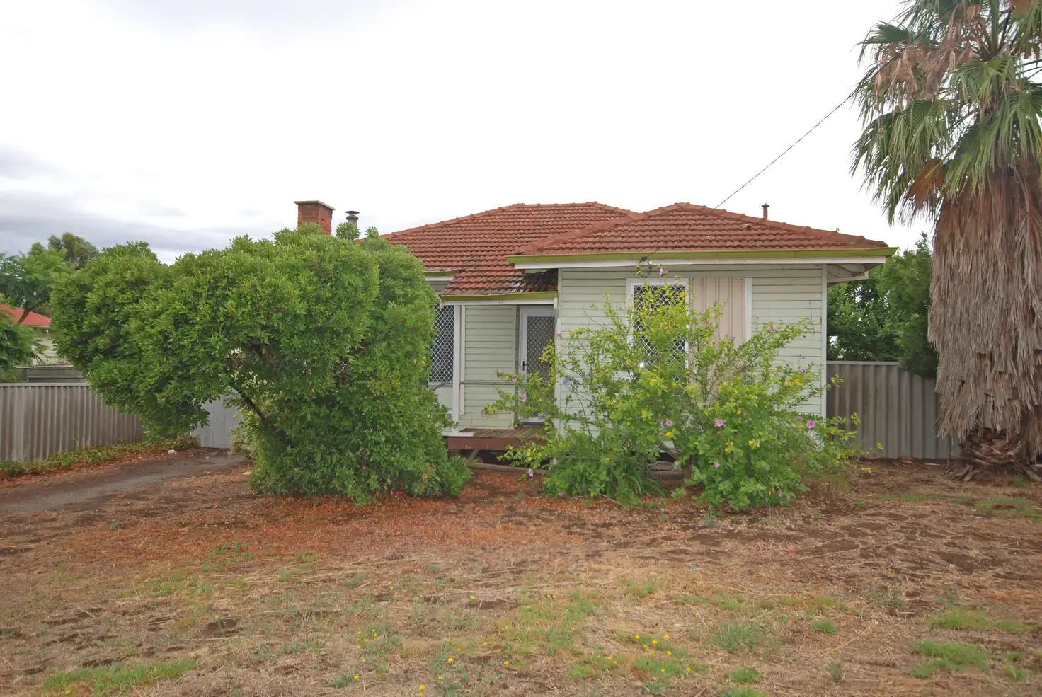 Main view of Homely house listing, 77 Northwood Street, Narrogin WA 6312