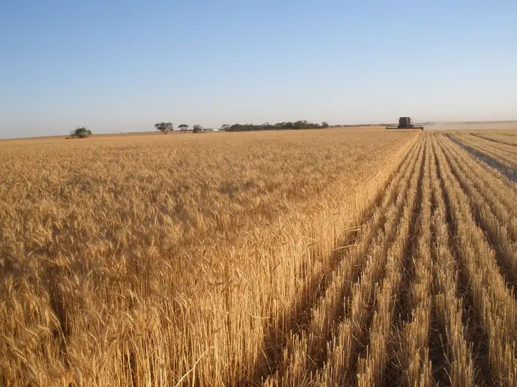 Secs 9 & 40 Kadina - Tickera Road, Tickera SA 5555