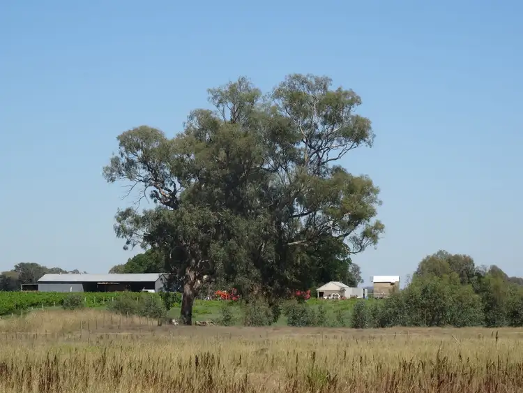 Second view of Homely rural property listing, 2035 Wangaratta-Whitfield Road, Moyhu VIC 3732