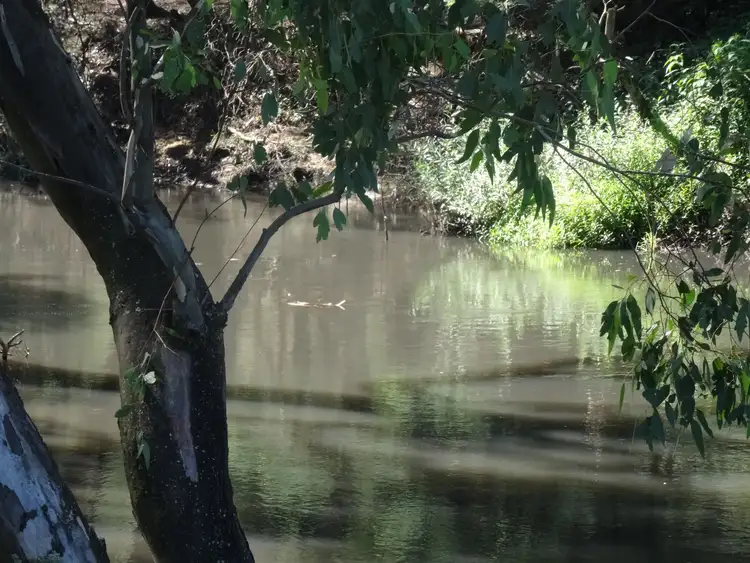 Third view of Homely rural property listing, 2035 Wangaratta-Whitfield Road, Moyhu VIC 3732