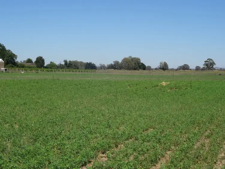 Fourth view of Homely rural property listing, 2035 Wangaratta-Whitfield Road, Moyhu VIC 3732