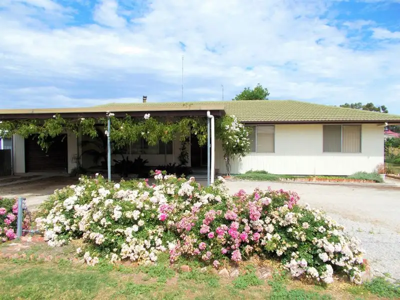 Main view of Homely house listing, 5-7 Green, Bordertown SA 5268