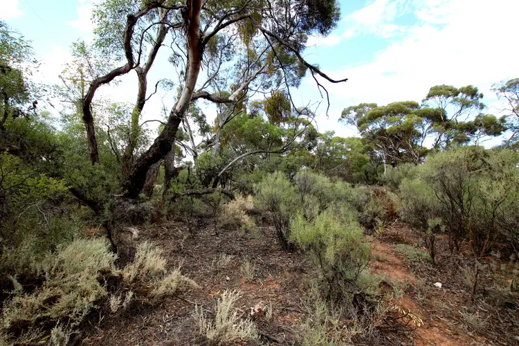 Second view of Homely land listing, Lot 10 Henry Road, Kingston On Murray SA 5331