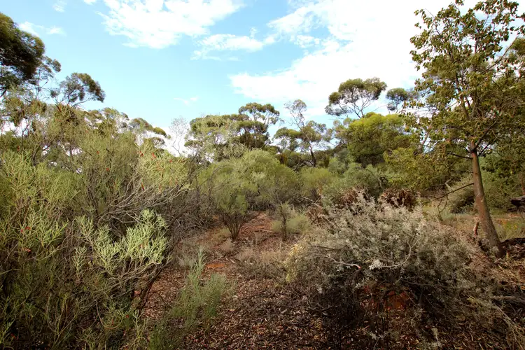 Fourth view of Homely land listing, Lot 10 Henry Road, Kingston On Murray SA 5331