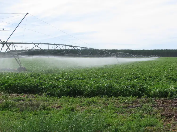 Fourth view of Homely rural property listing, 783 Burrungule Road "Slaters", Kongorong, Burrungule SA 5291