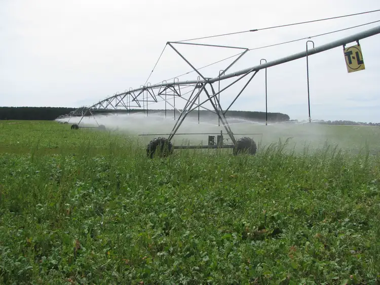 Fifth view of Homely rural property listing, 783 Burrungule Road "Slaters", Kongorong, Burrungule SA 5291