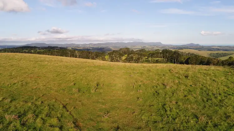 Second view of Homely rural property listing, 5145 Waterfall Way, Dorrigo NSW 2453