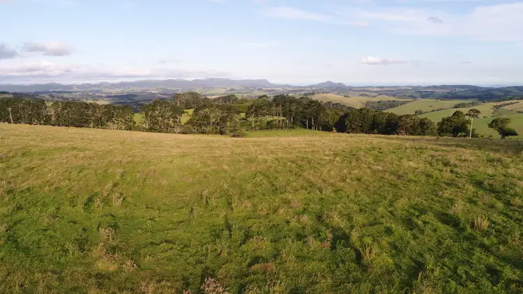 Third view of Homely rural property listing, 5145 Waterfall Way, Dorrigo NSW 2453
