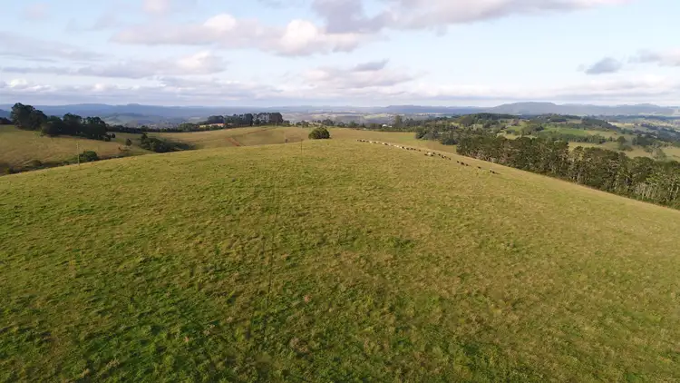 Fourth view of Homely rural property listing, 5145 Waterfall Way, Dorrigo NSW 2453