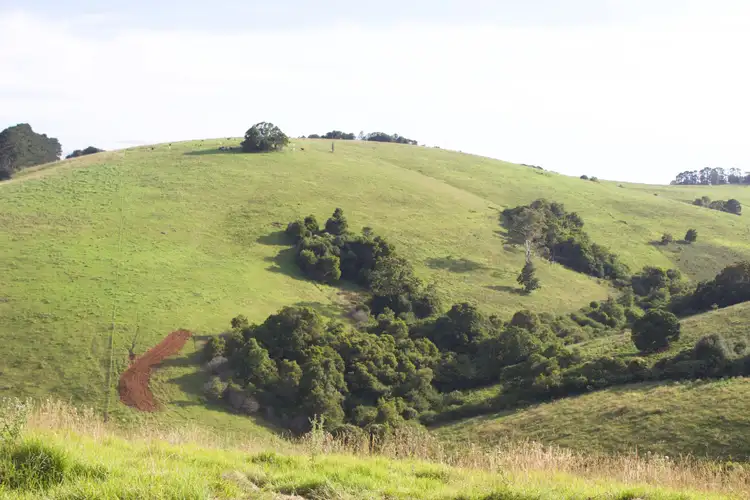Fifth view of Homely rural property listing, 5145 Waterfall Way, Dorrigo NSW 2453