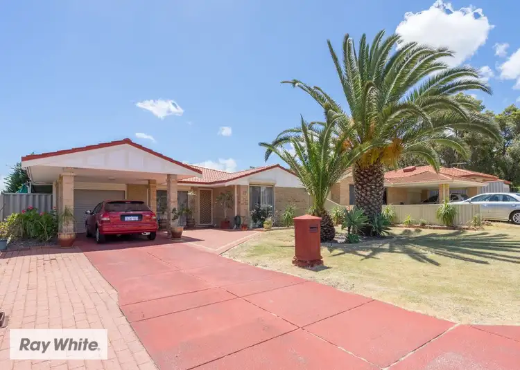 Second view of Homely house listing, 17 Teneriffe Place, Mirrabooka WA 6061