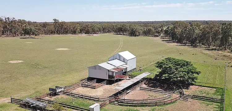 Fourth view of Homely rural property listing, ' WALLINGA', Coonabarabran NSW 2357