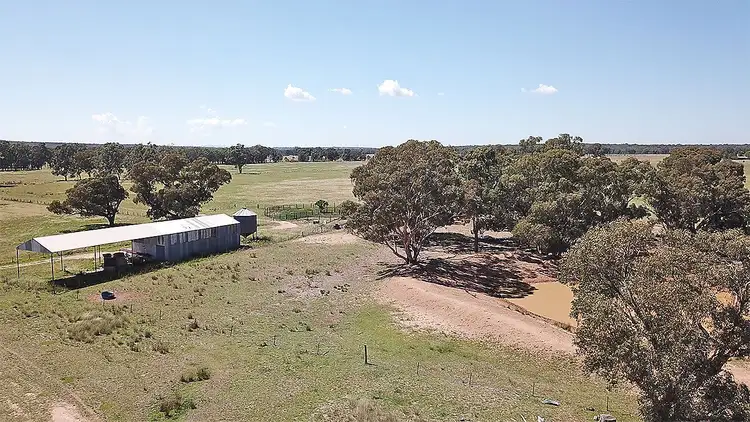 Sixth view of Homely rural property listing, ' WALLINGA', Coonabarabran NSW 2357