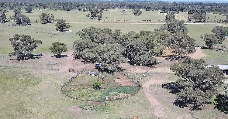 Seventh view of Homely rural property listing, ' WALLINGA', Coonabarabran NSW 2357