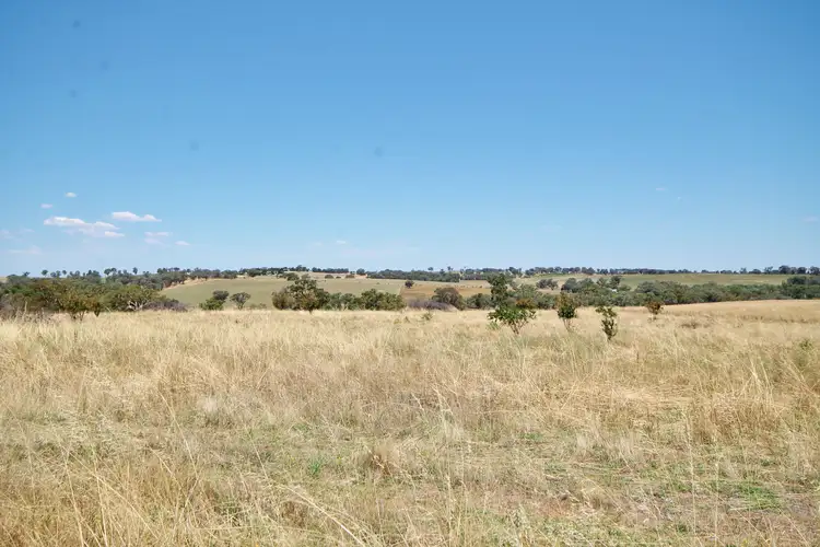 190 Sads Lane MONTEAGLE via, Young NSW 2594