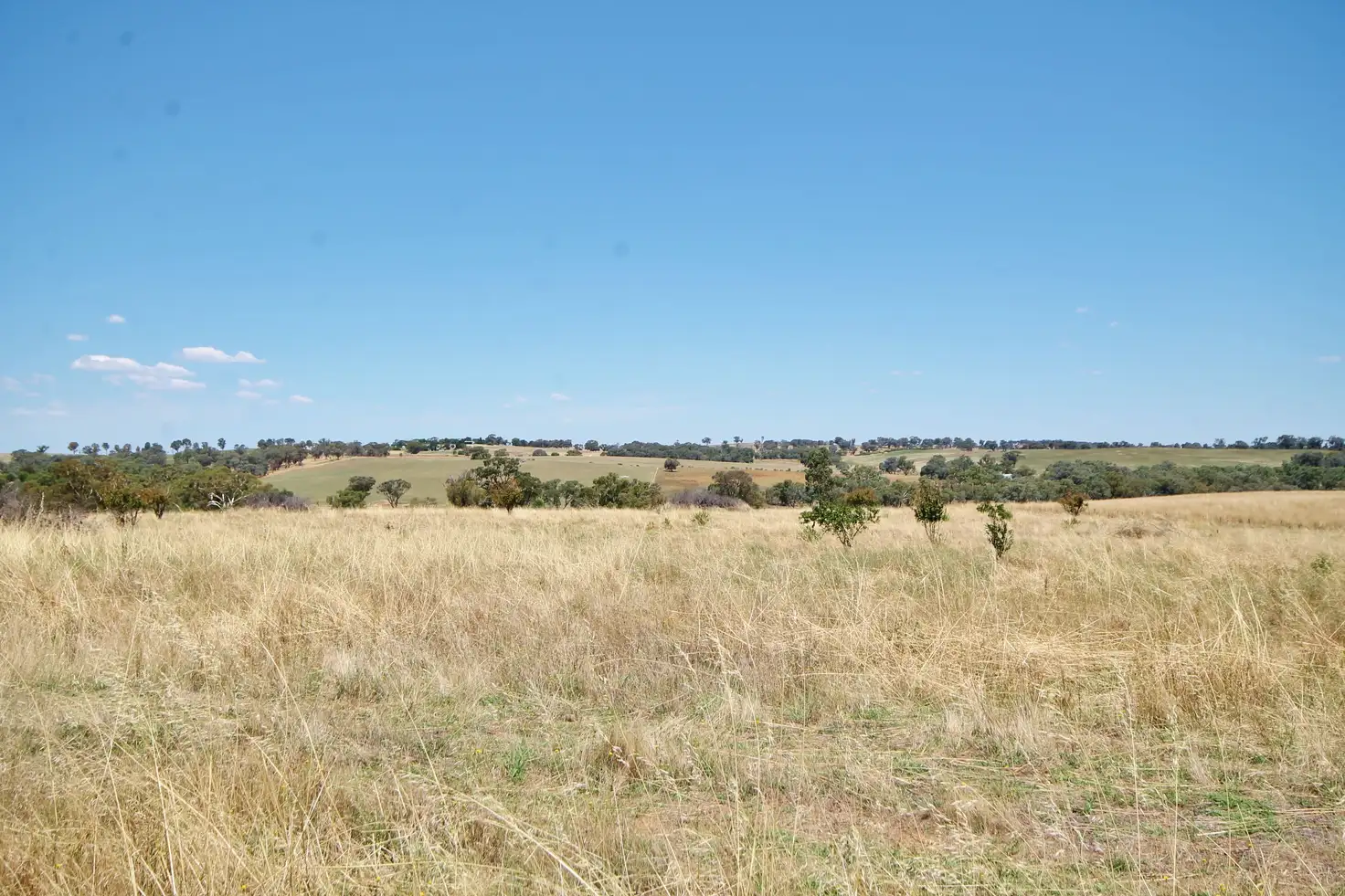 Main view of Homely land listing, 190 Sads Lane MONTEAGLE via, Young NSW 2594