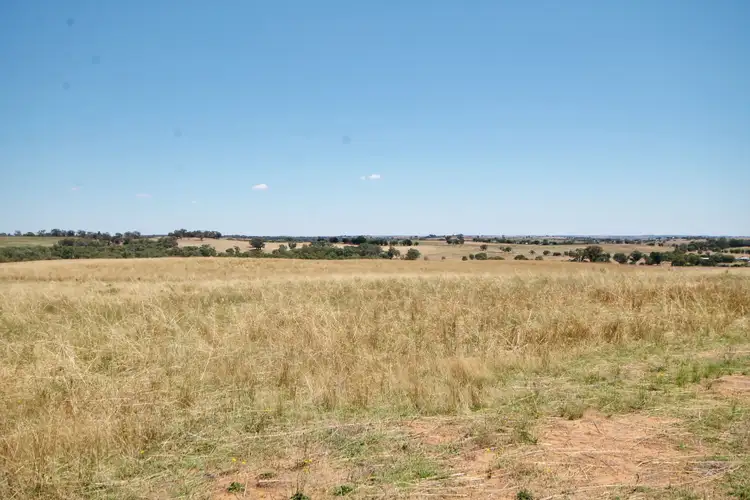 Second view of Homely land listing, 190 Sads Lane MONTEAGLE via, Young NSW 2594