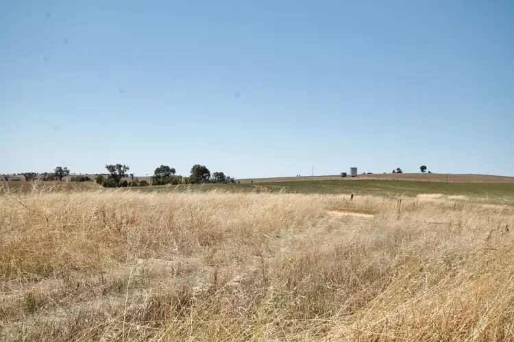 Fifth view of Homely land listing, 190 Sads Lane MONTEAGLE via, Young NSW 2594