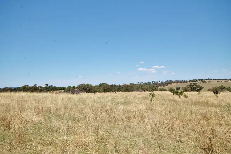 Sixth view of Homely land listing, 190 Sads Lane MONTEAGLE via, Young NSW 2594