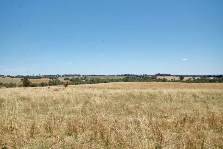 Seventh view of Homely land listing, 190 Sads Lane MONTEAGLE via, Young NSW 2594