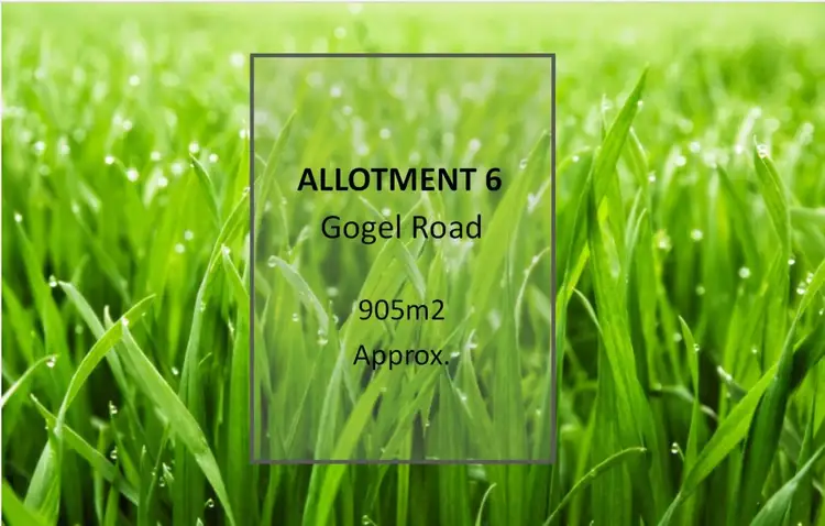 Lot 6 Gogel Road, Moorook SA 5332