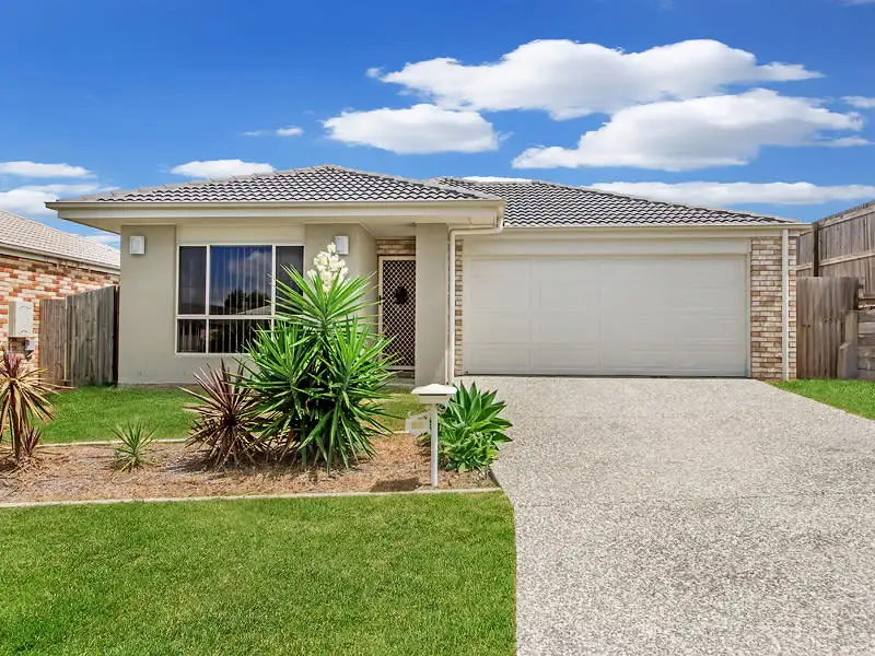 Main view of Homely house listing, 17 Hasemann Crescent, Upper Coomera QLD 4209