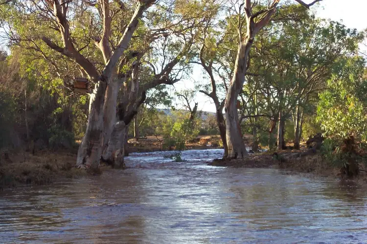 Sixth view of Homely house listing, 160 Schmidt Road, Quorn SA 5433