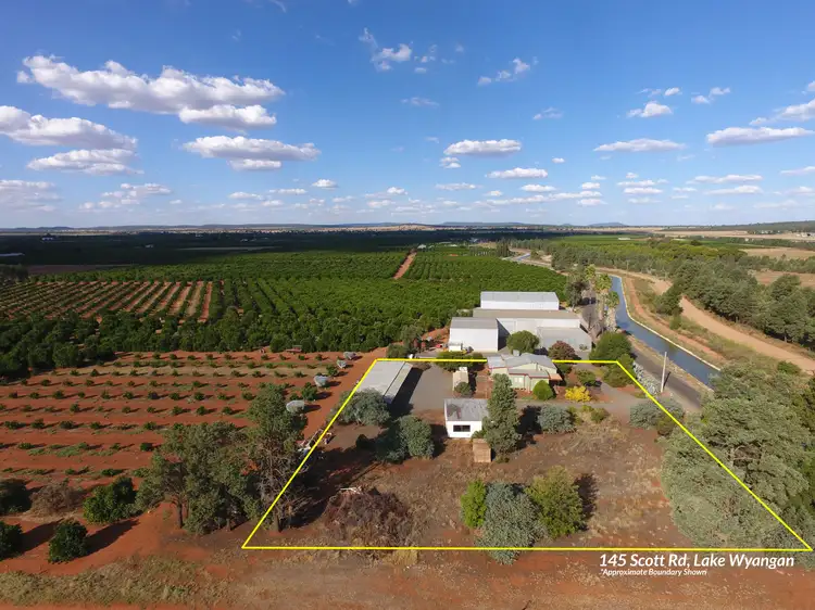 Main view of Homely house listing, 145 Scott Road, Lake Wyangan NSW 2680