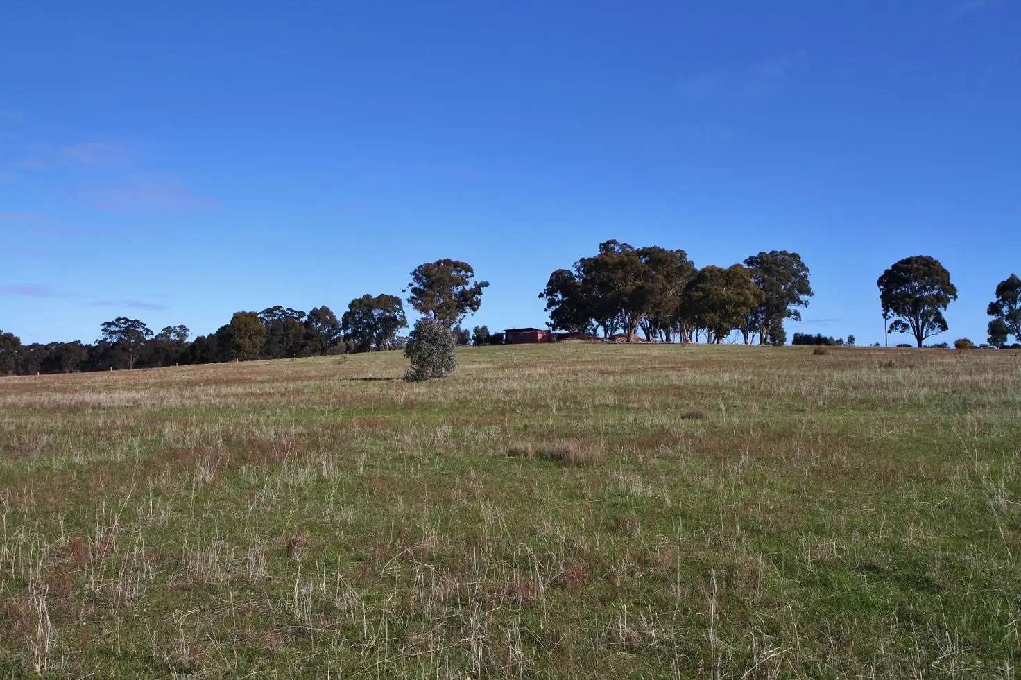 Main view of Homely land listing, Lot 7 Eickerts Lane, Mount Camel VIC 3523
