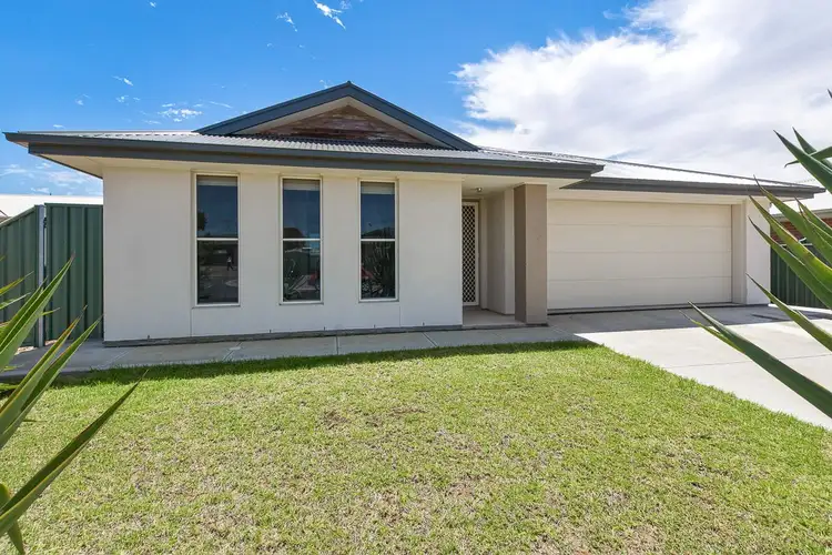 Main view of Homely house listing, 39 Pfitzner Close, Murray Bridge SA 5253
