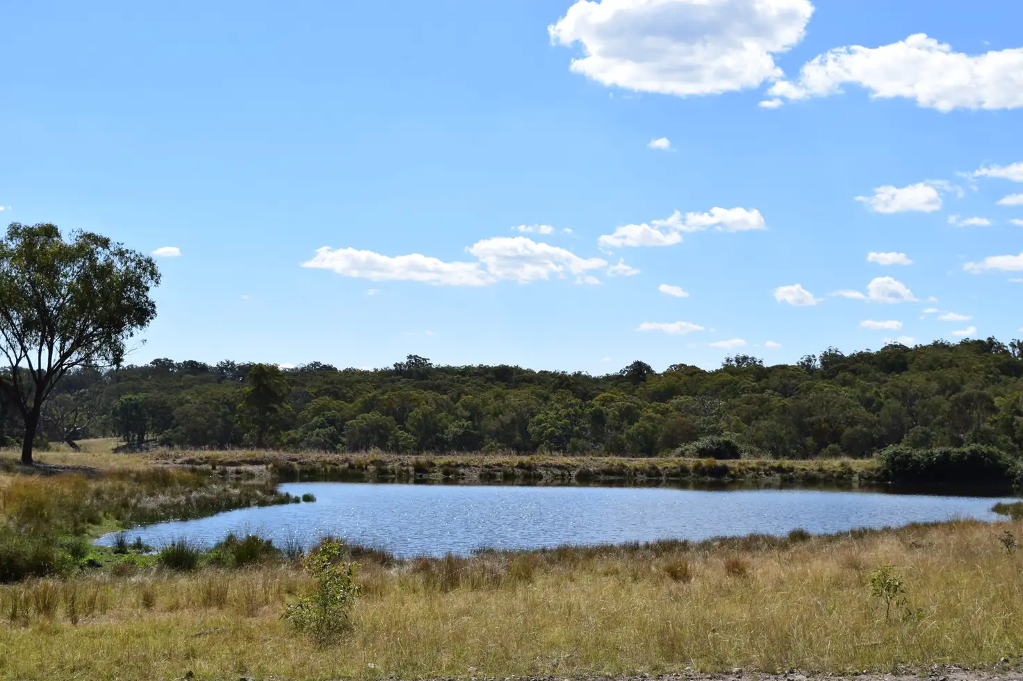 Main view of Homely rural property listing, 1166 Kingstown Road, Uralla NSW 2358