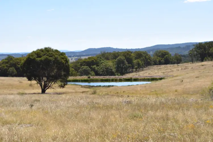 Fifth view of Homely rural property listing, 1166 Kingstown Road, Uralla NSW 2358
