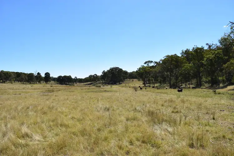 Sixth view of Homely rural property listing, 1166 Kingstown Road, Uralla NSW 2358