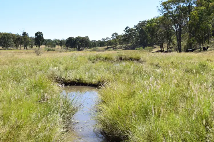 Seventh view of Homely rural property listing, 1166 Kingstown Road, Uralla NSW 2358