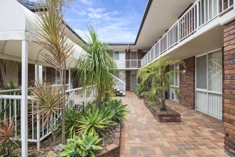 Fourth view of Homely studio listing, 9/1444 Gold Coast Highway, Palm Beach QLD 4221