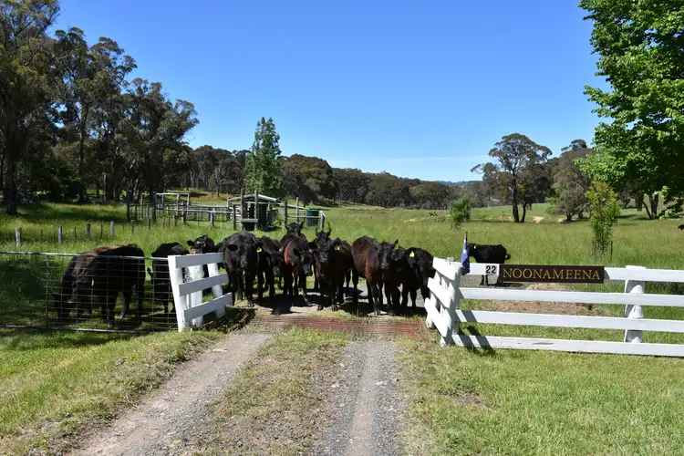22 Willis Road, Glen Innes NSW 2370