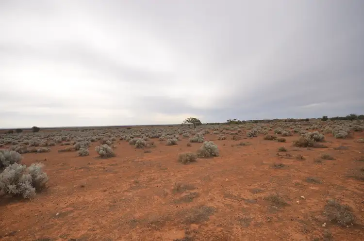 Second view of Homely rural property listing, Lot 28 Dreckow Road, Bower SA 5374