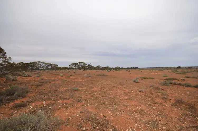 Seventh view of Homely rural property listing, Lot 28 Dreckow Road, Bower SA 5374
