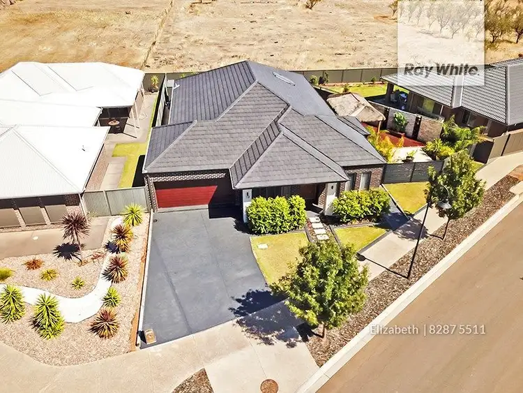 Sixth view of Homely house listing, 19 The Avenue, Blakeview SA 5114