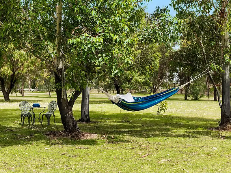 Main view of Homely house listing, 57 Young Road, Baldivis WA 6171