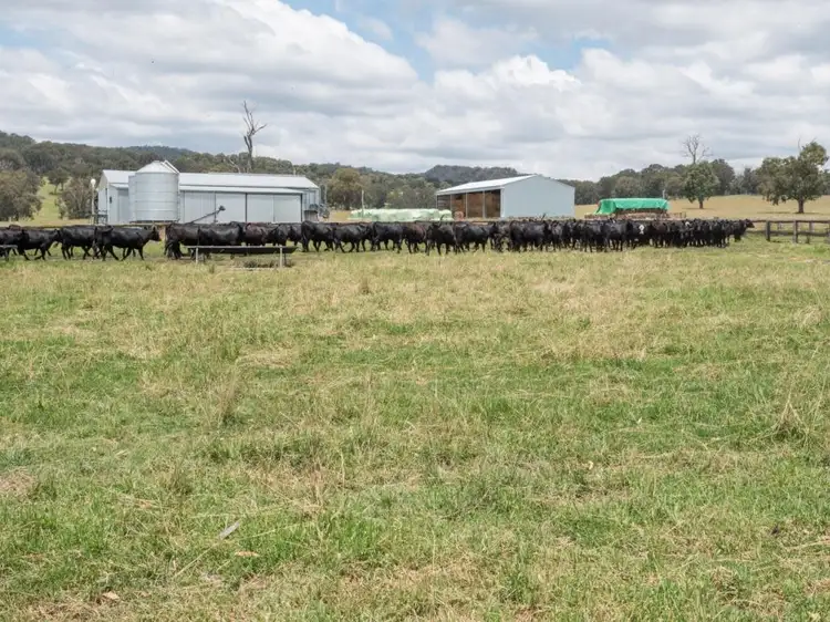 Third view of Homely rural property listing, Maiden Creek 1060 Wongwibinda Road, Wollomombi NSW 2350