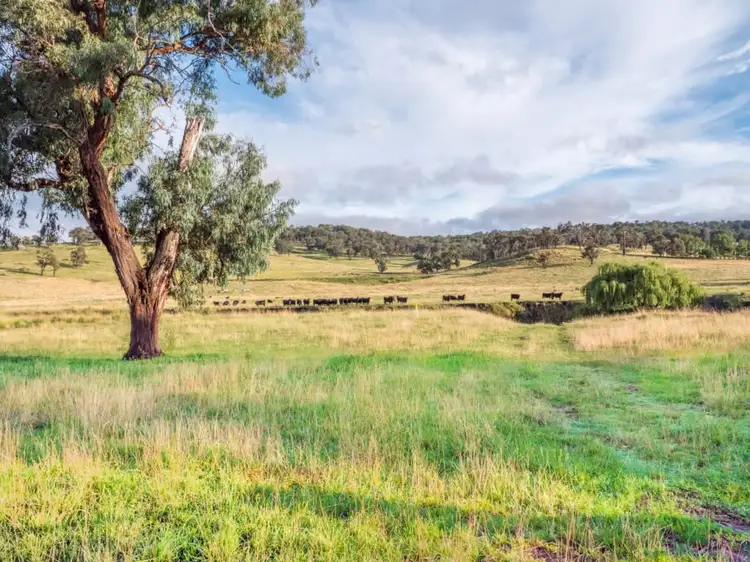 Seventh view of Homely rural property listing, Maiden Creek 1060 Wongwibinda Road, Wollomombi NSW 2350