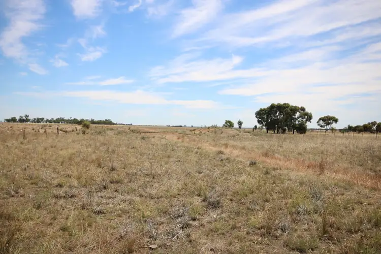 Third view of Homely rural property listing, 00 Mt Terrick Road, Echuca VIC 3564