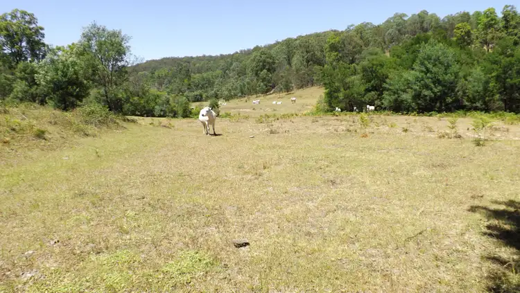 Fourth view of Homely rural property listing, Off Putty Road, Howes Valley NSW 2330