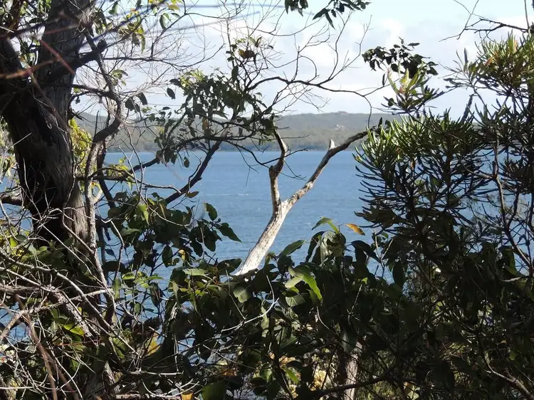 Lot 56 Randall Road, Denmark WA 6333