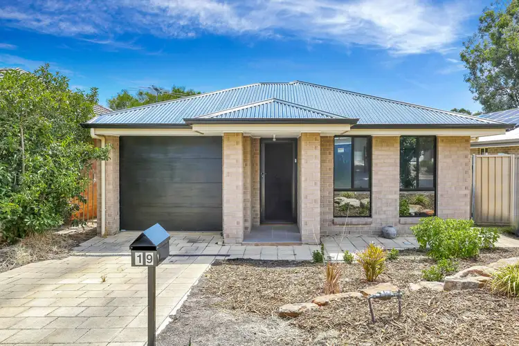 19 Silvermere Avenue, Paradise SA 5075