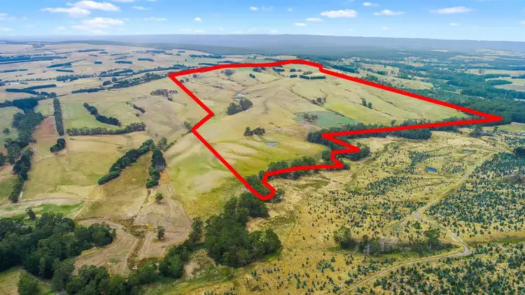 Sixth view of Homely rural property listing, 3240 Lavers Hill-Cobden Road, Simpson VIC 3266