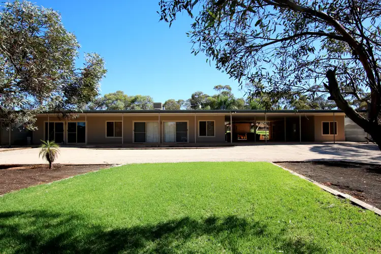 Main view of Homely house listing, 14 Muller Road, Monash SA 5342